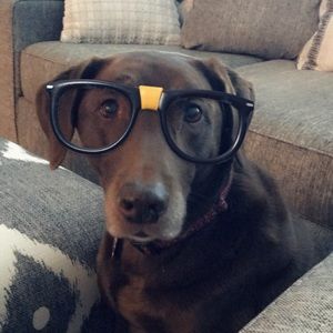 Meet your Posher, Todd